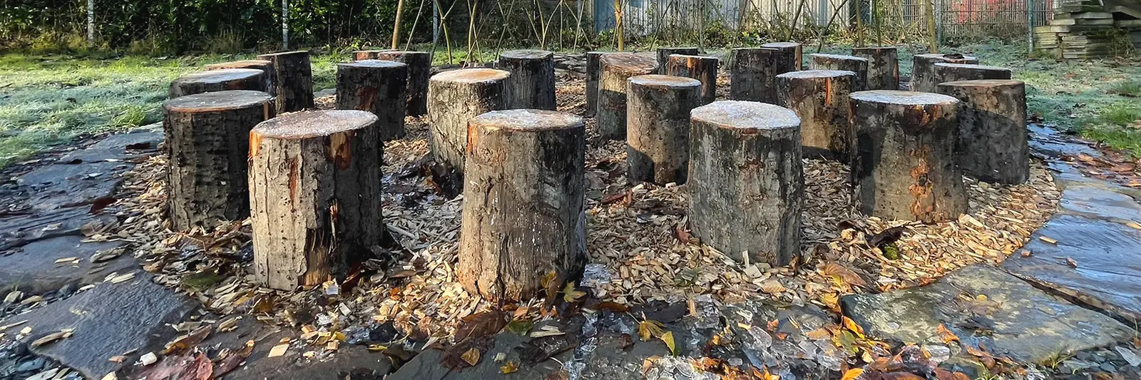 Sitzgruppe aus Baumstämmen