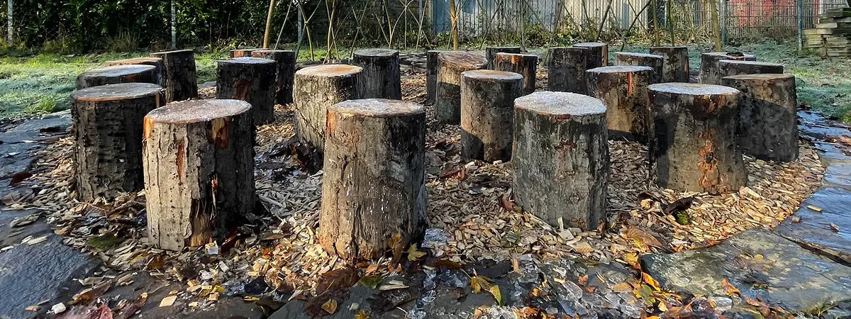 Sitzgruppe aus Baumstämmen